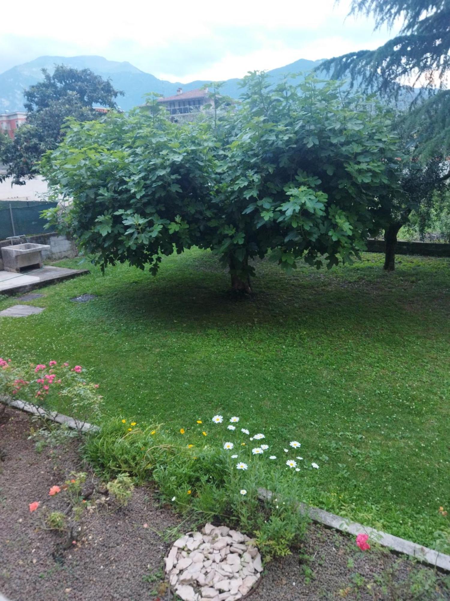 Rose Garden House Wi-Fi Apartman Riva del Garda Kültér fotó
